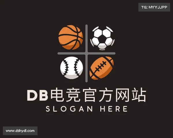 解读&#x44;&#x42;&#x7535;&#x7ade;&#x5b98;&#x65b9;&#x7f51;&#x7ad9;